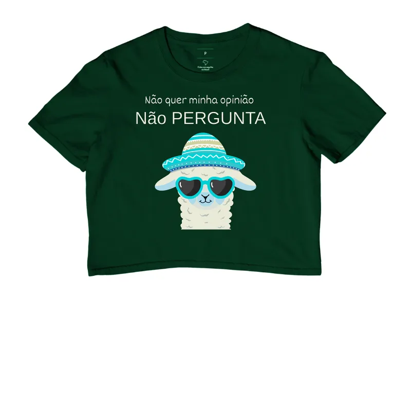 Não quer minha opinião, não me pergunta - Imagem 4