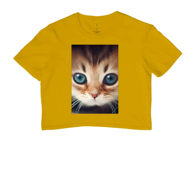 Gatinho - Imagem 8