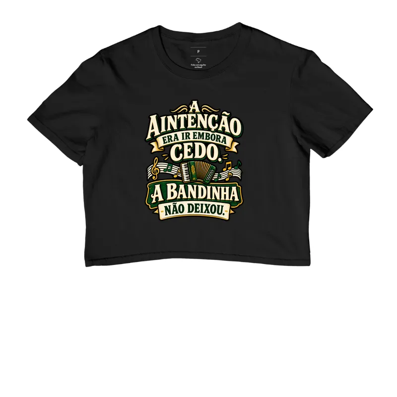 A Bandinha Não Deixou - Imagem 2