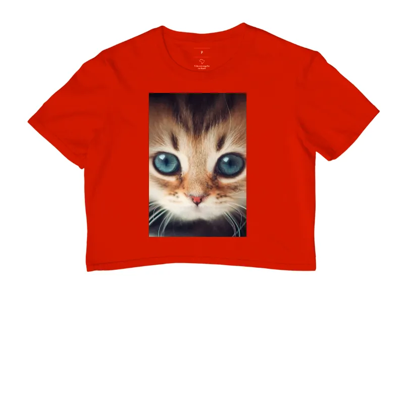 Gatinho - Imagem 7
