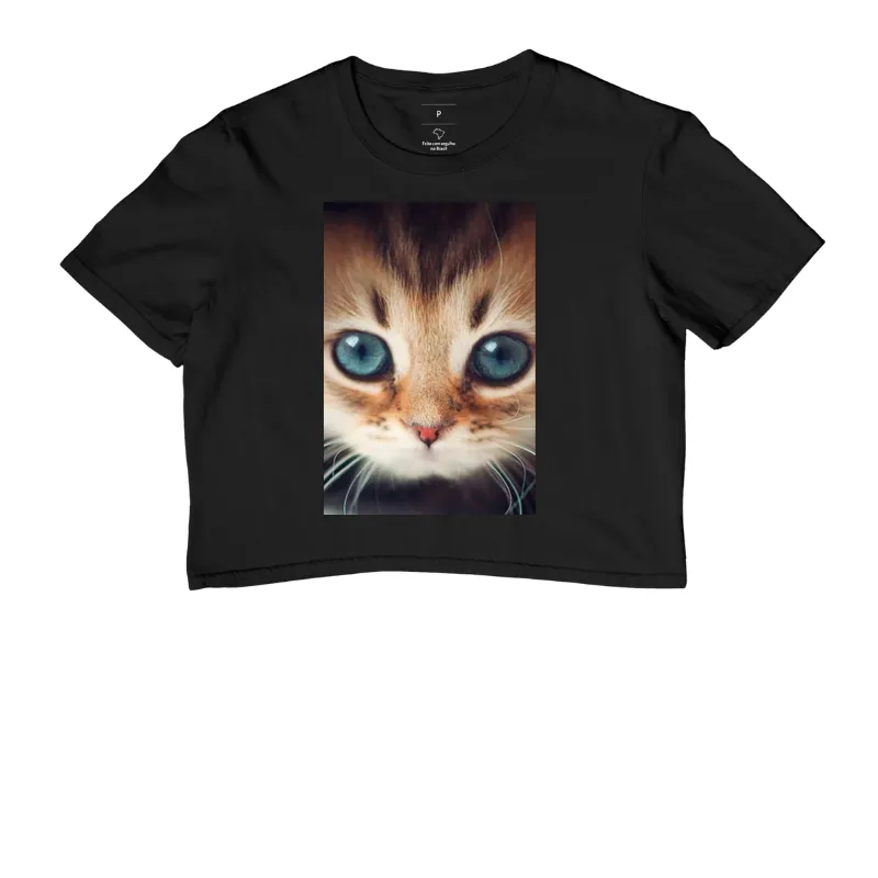 Gatinho - Imagem 2