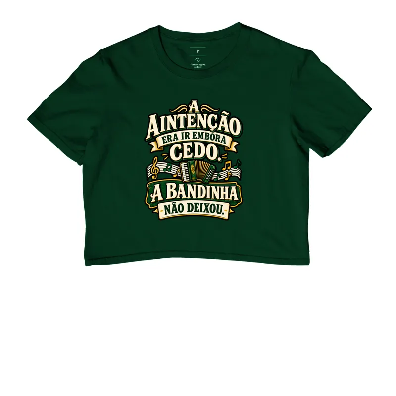 A Bandinha Não Deixou - Imagem 5