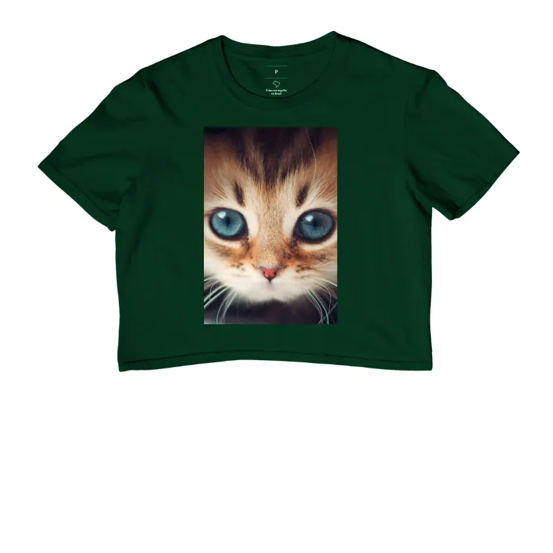 Gatinho - Imagem 5