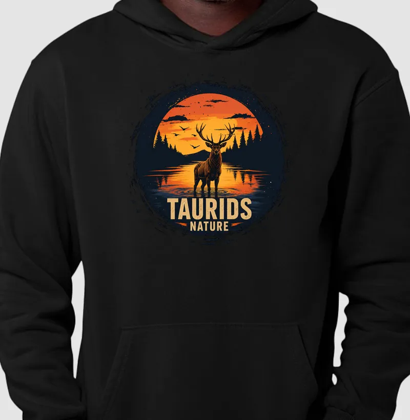 MOLETOM TAURIDS TRS SERVO AND LAKE 