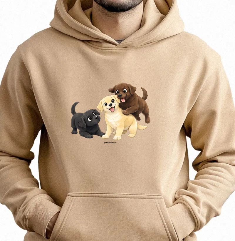 3 Labradores