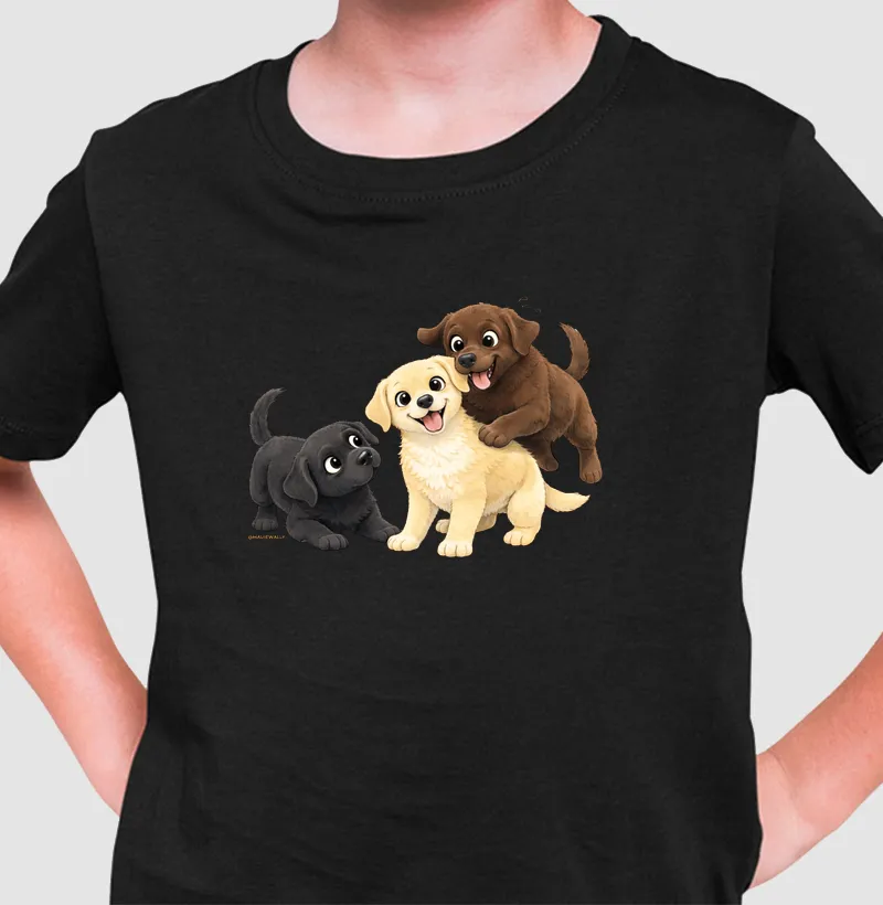3 Labradores