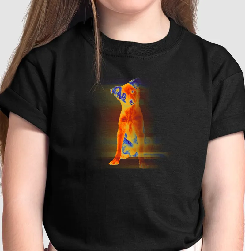 Neon Border Collie