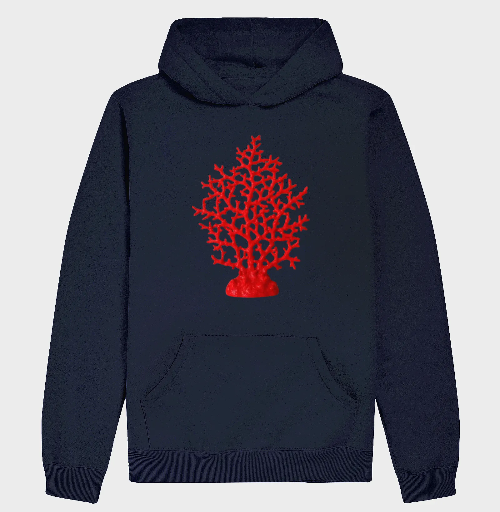 Coral - Imagem 4