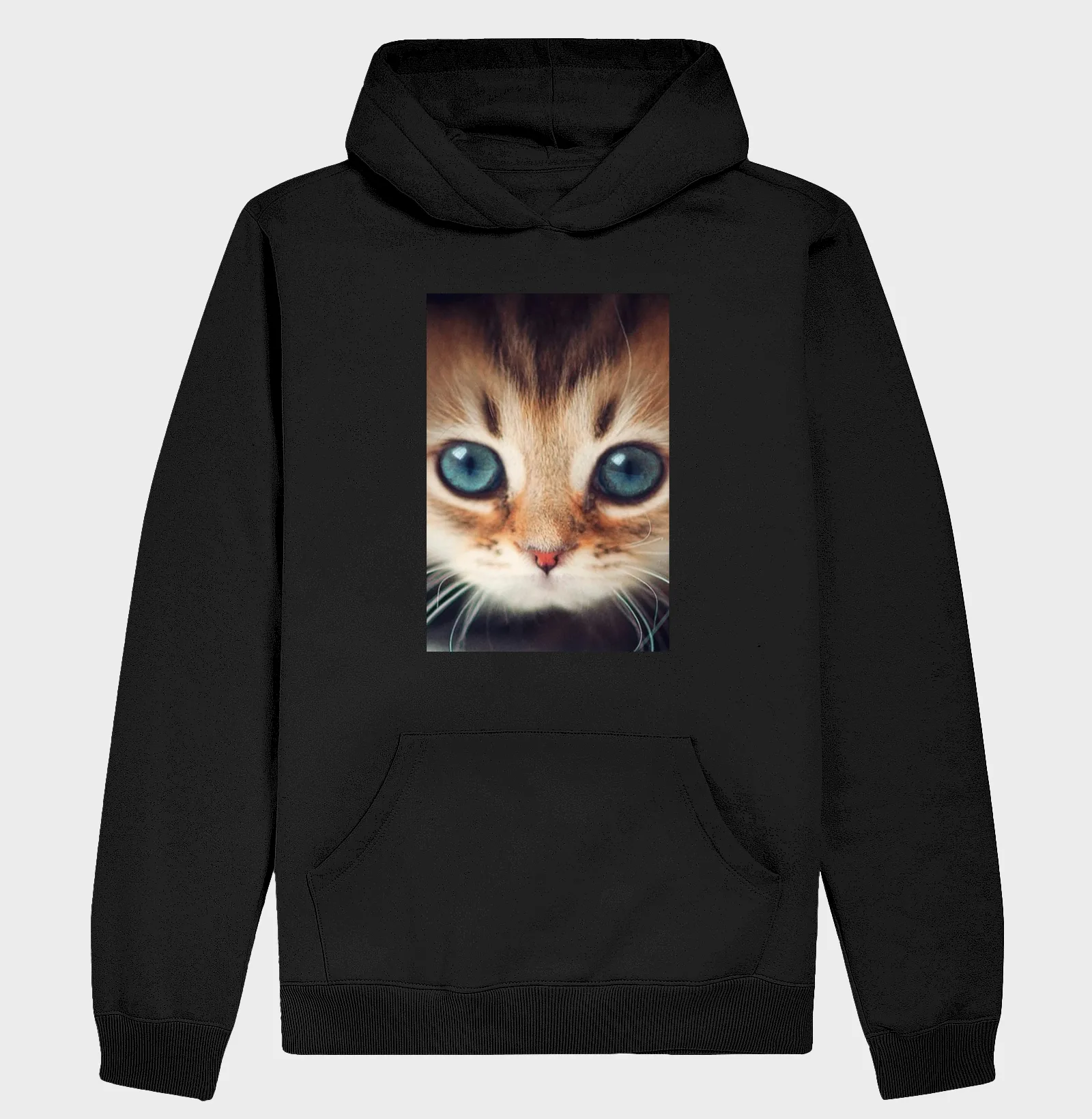 Gatinho - Imagem 2