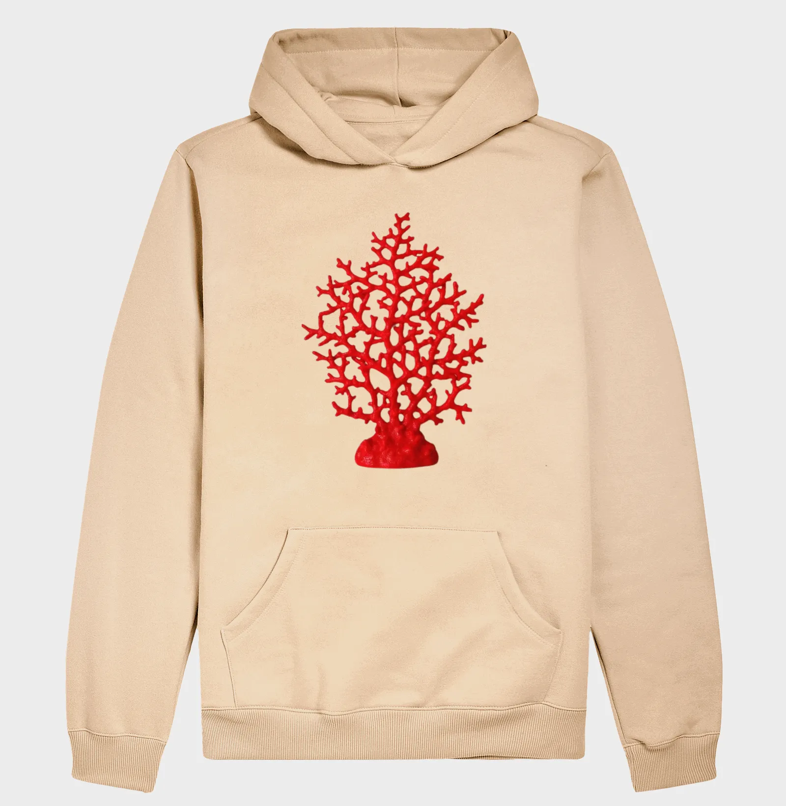 Coral - Imagem 5