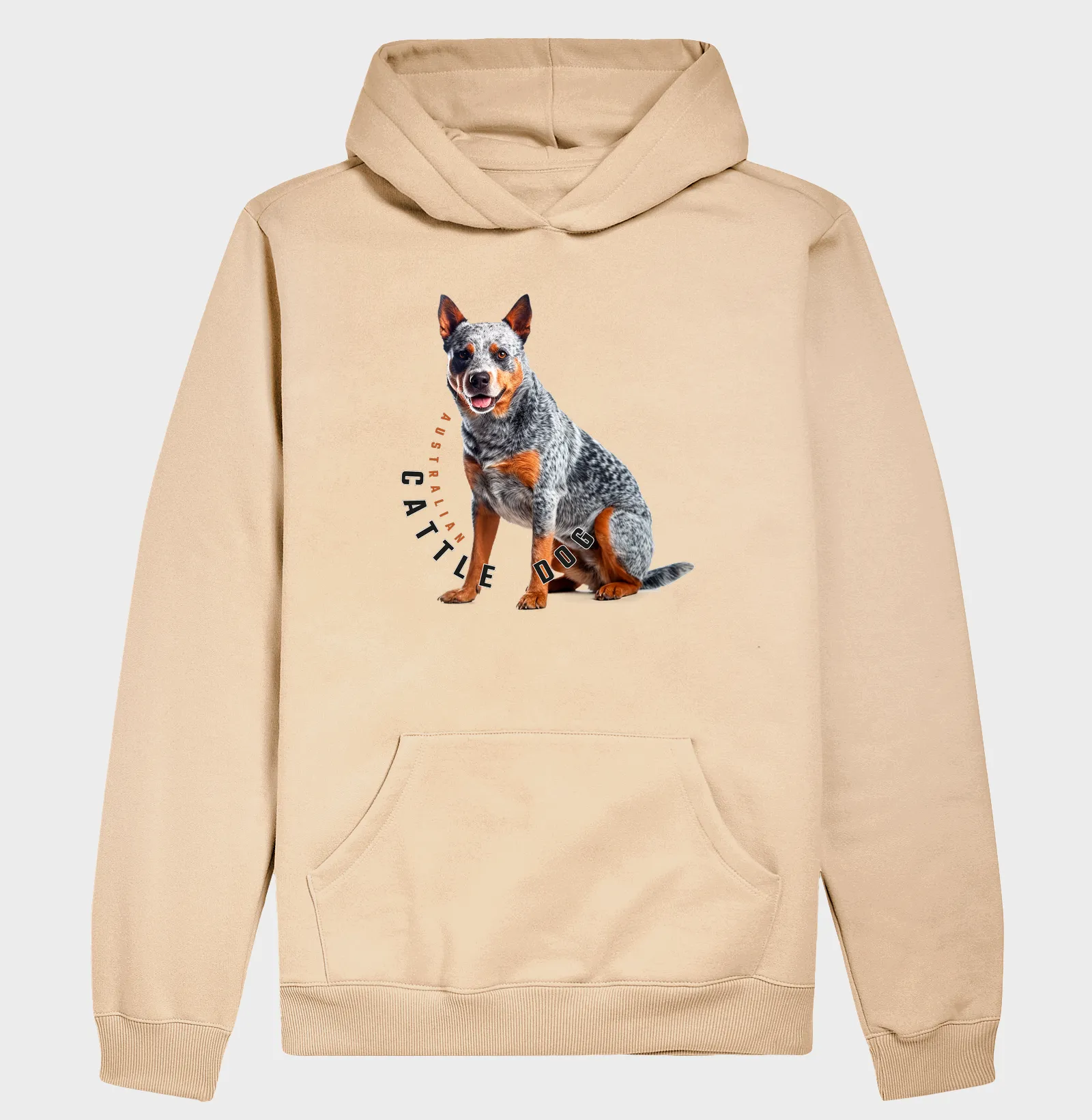 Australian Cattle Dog  - Imagem 2