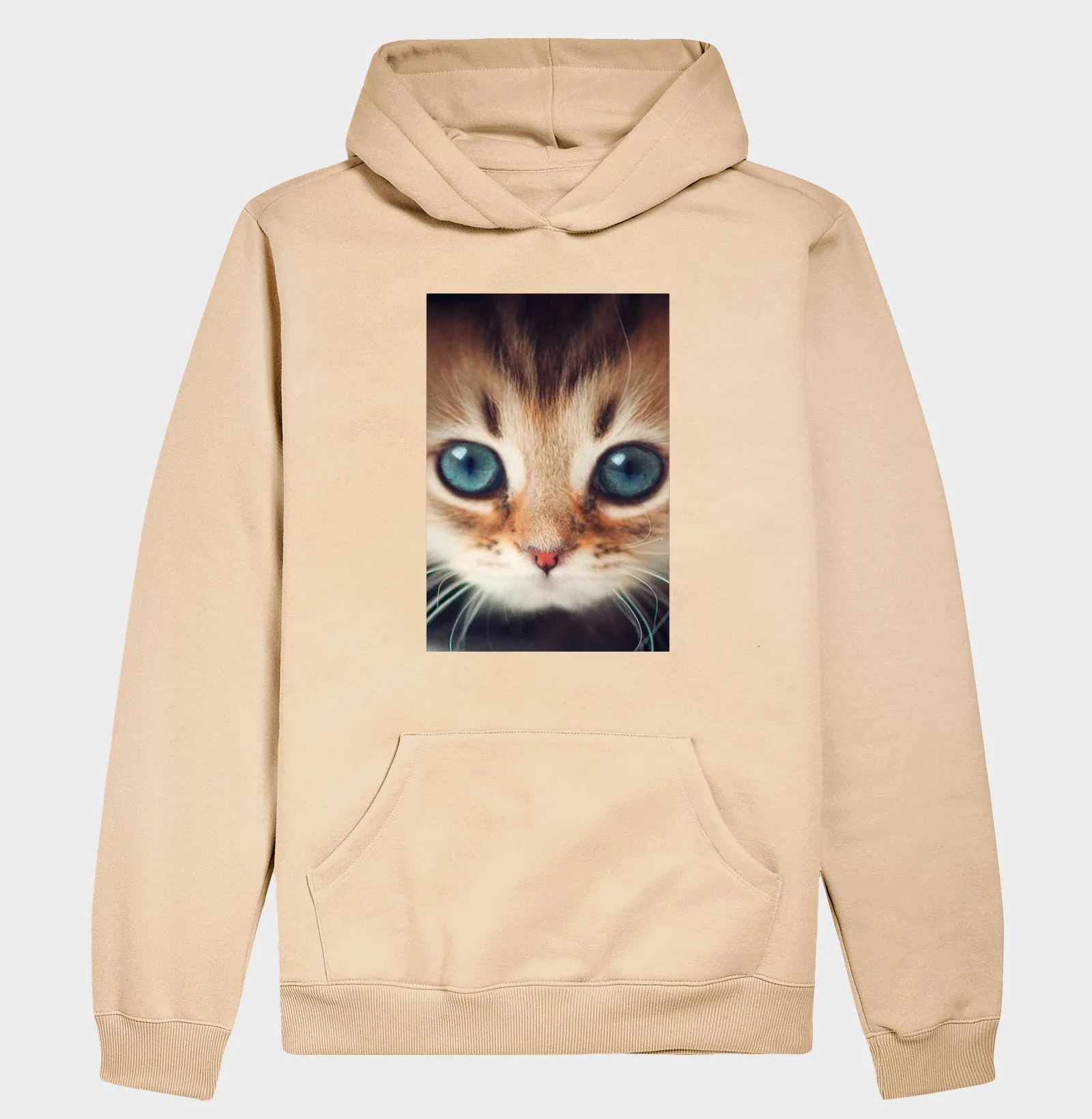 Gatinho - Imagem 5