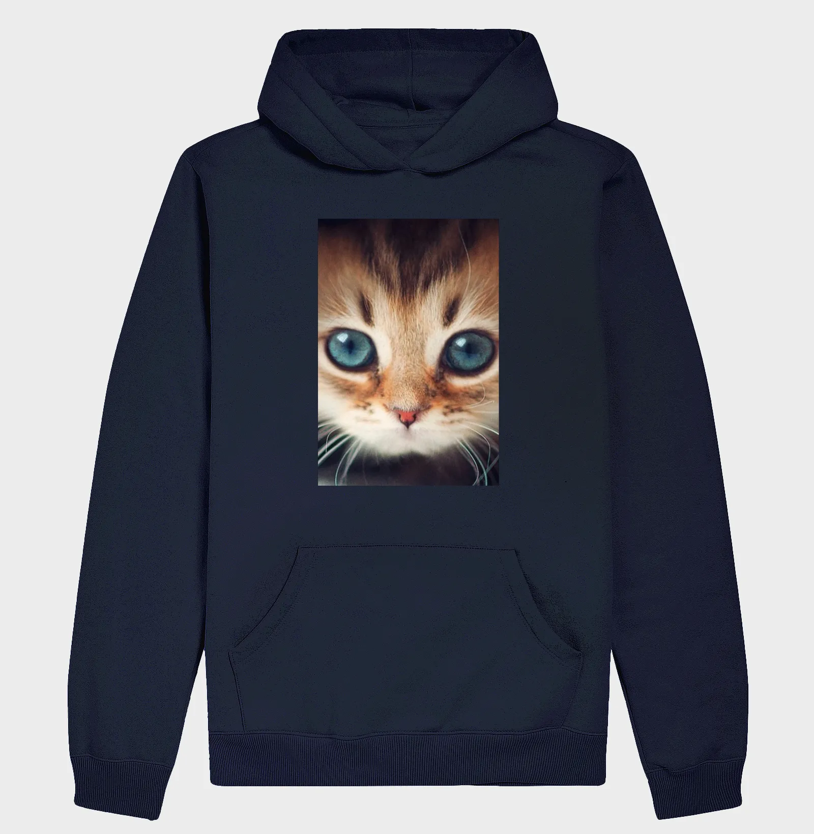 Gatinho - Imagem 4