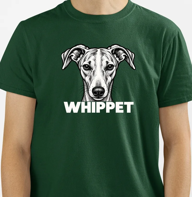 Whippet Bold