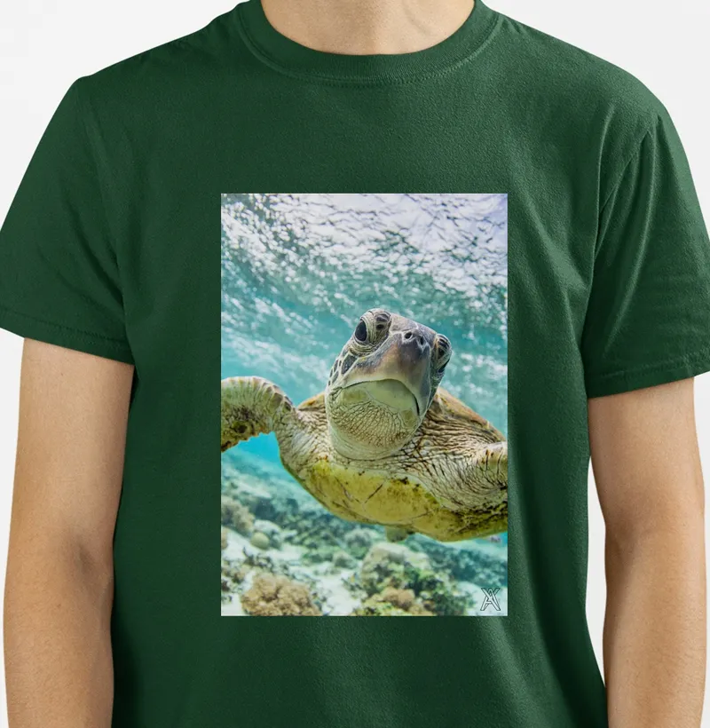 Tartaruga