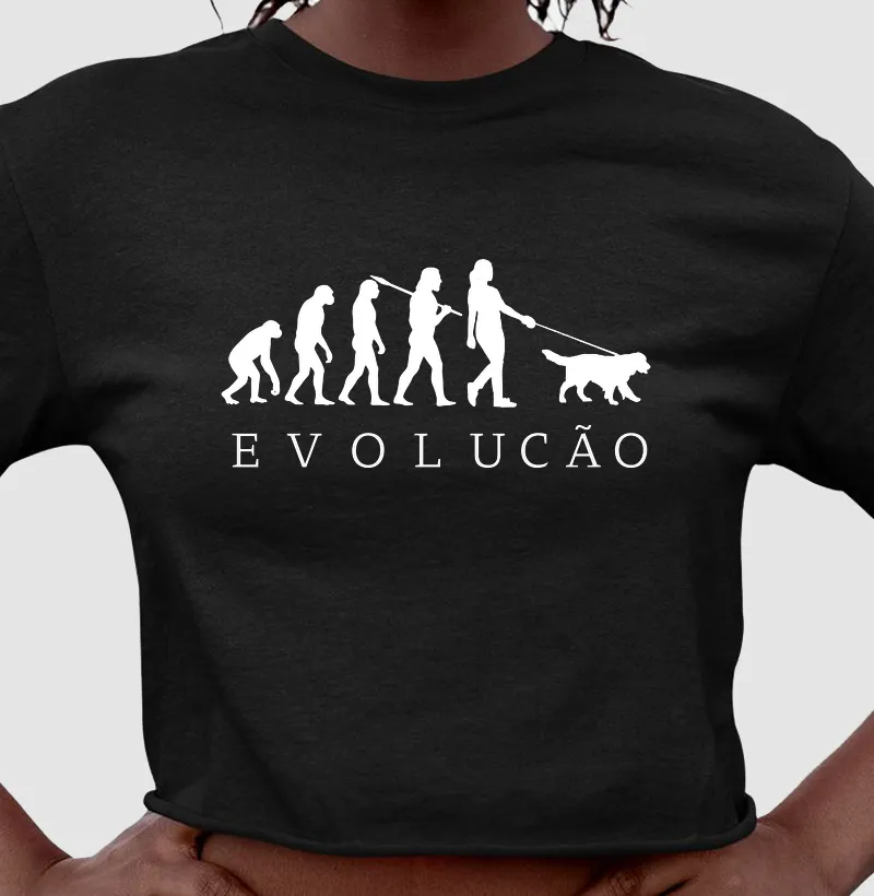 Evolução 