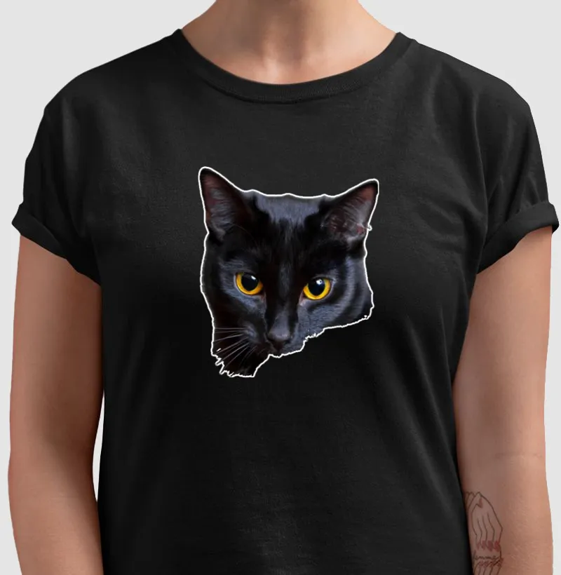 Face cat