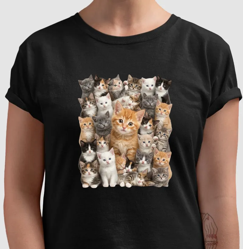 Cats