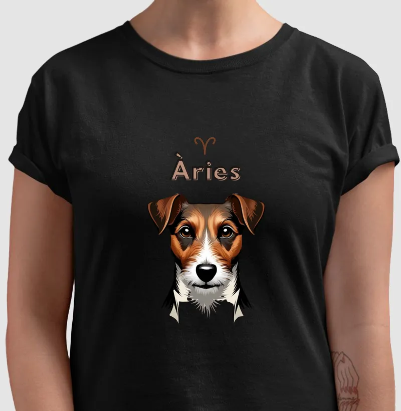 Aries 