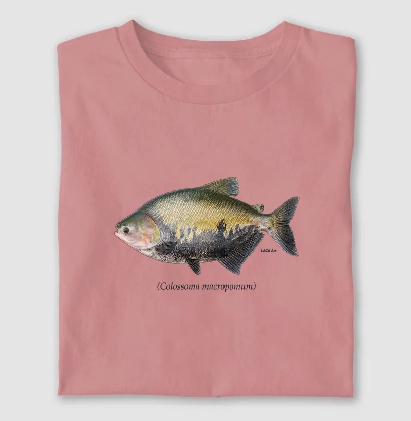 Tambaqui