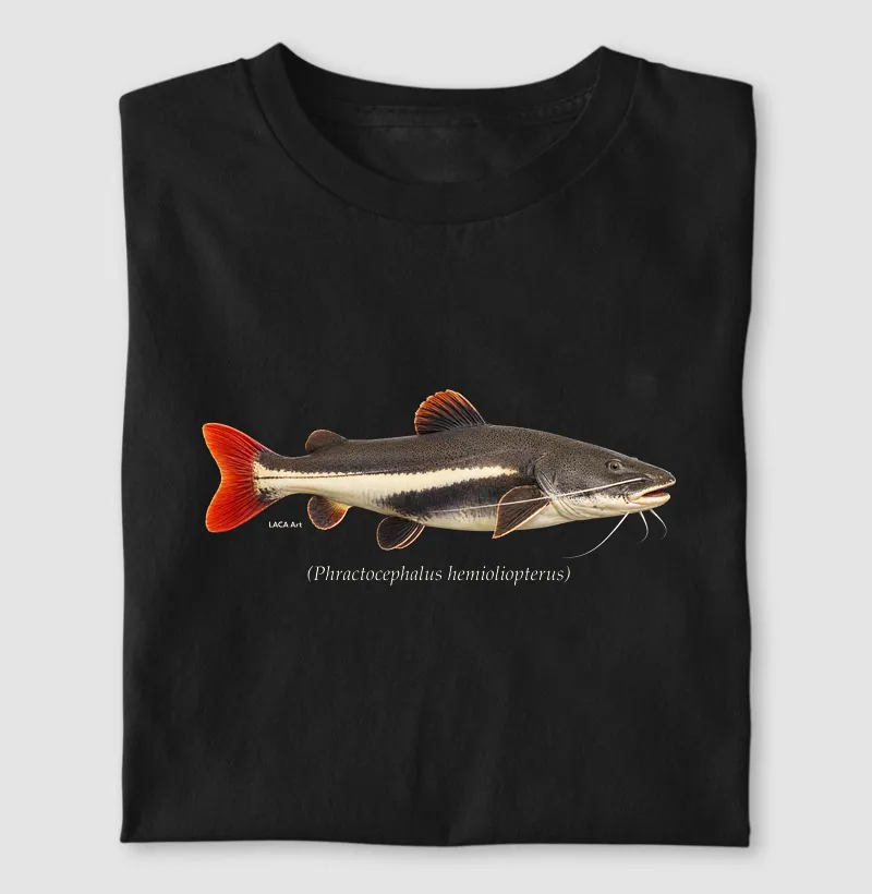 Pirarara