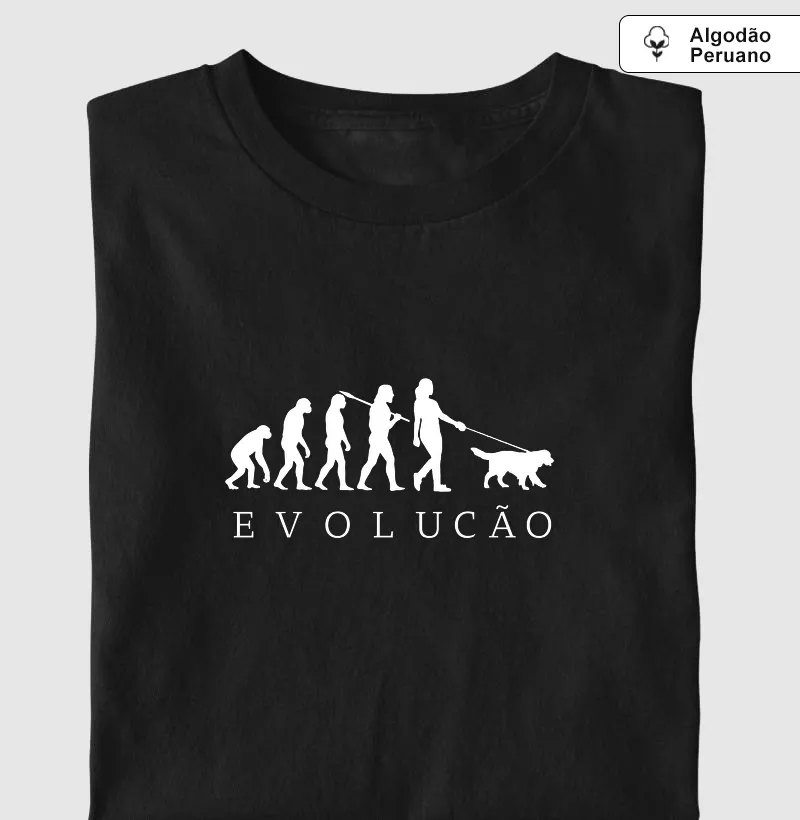 Evolução 