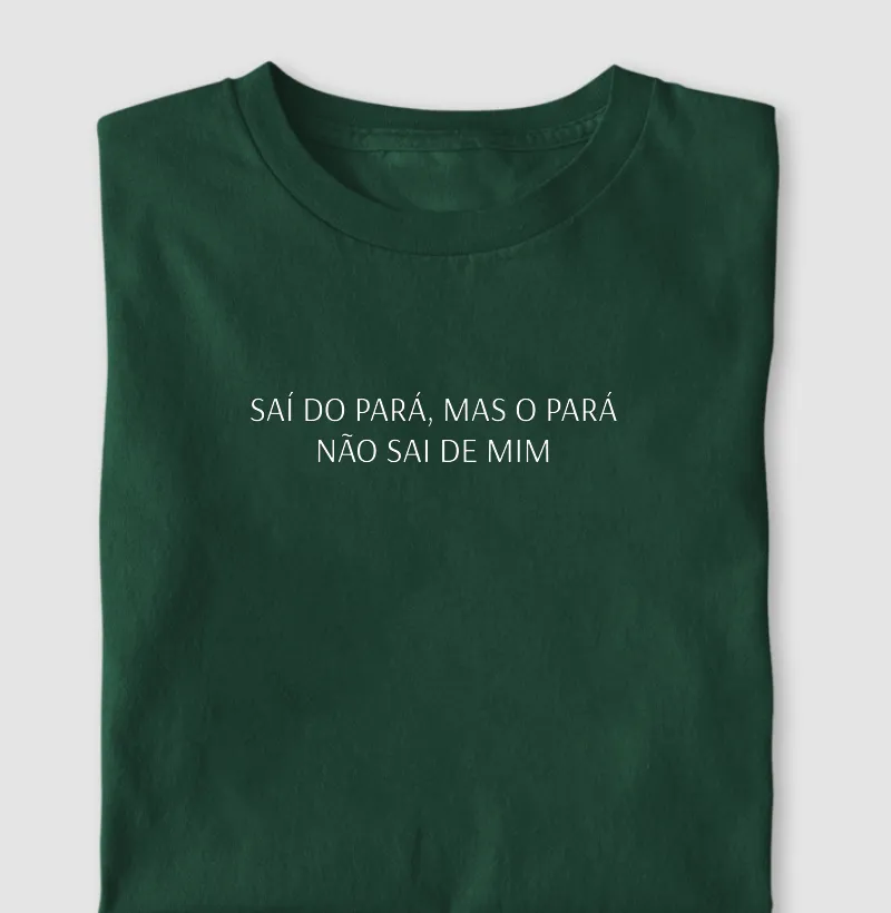 Saí do PA, mas o PA não sai de mim