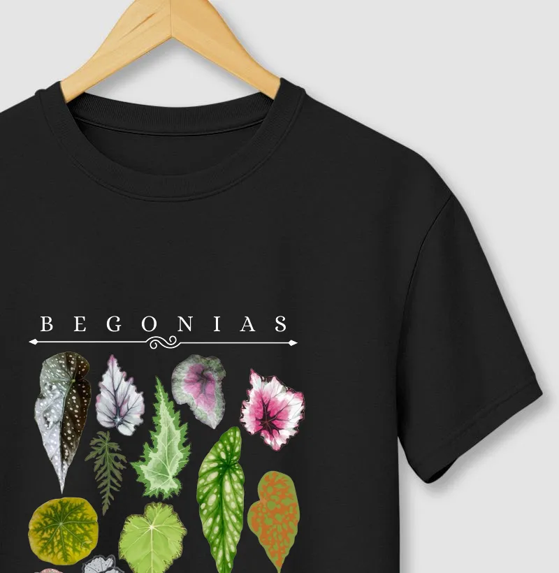 Begonias I