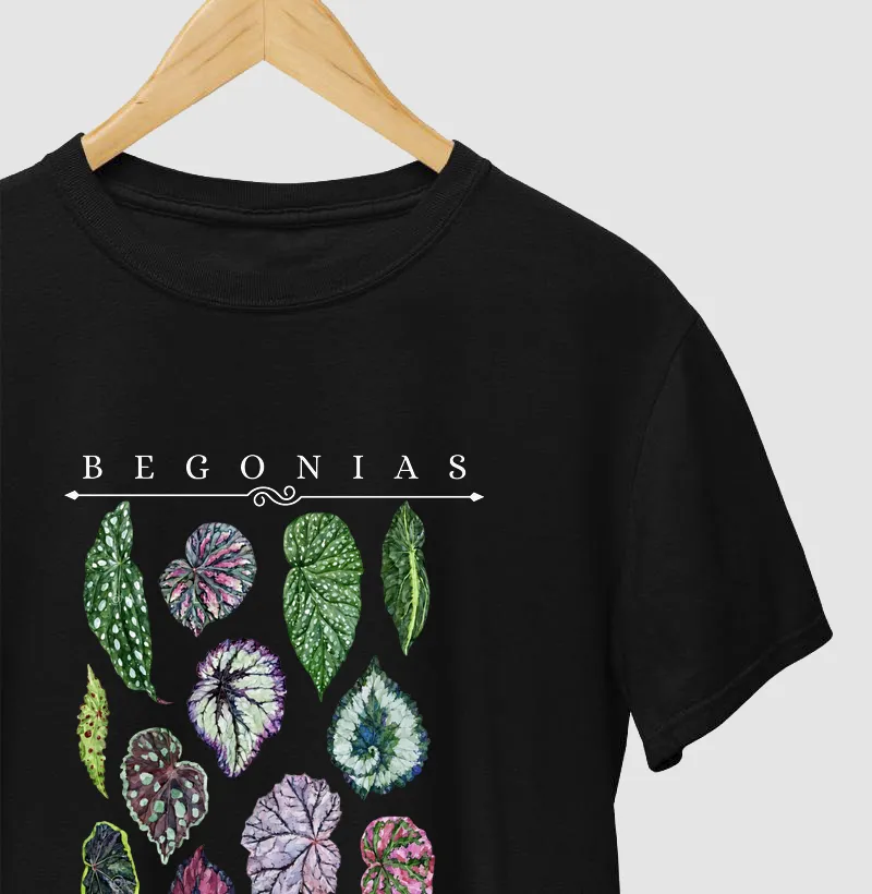 Begonias III