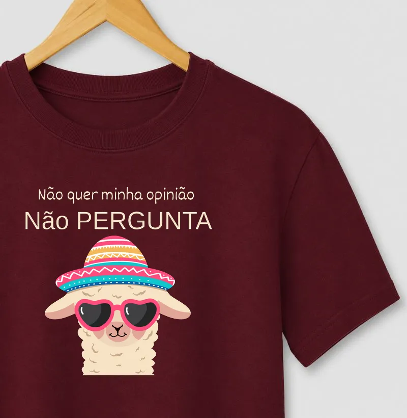 Não quer minha opinião, não me pergunta