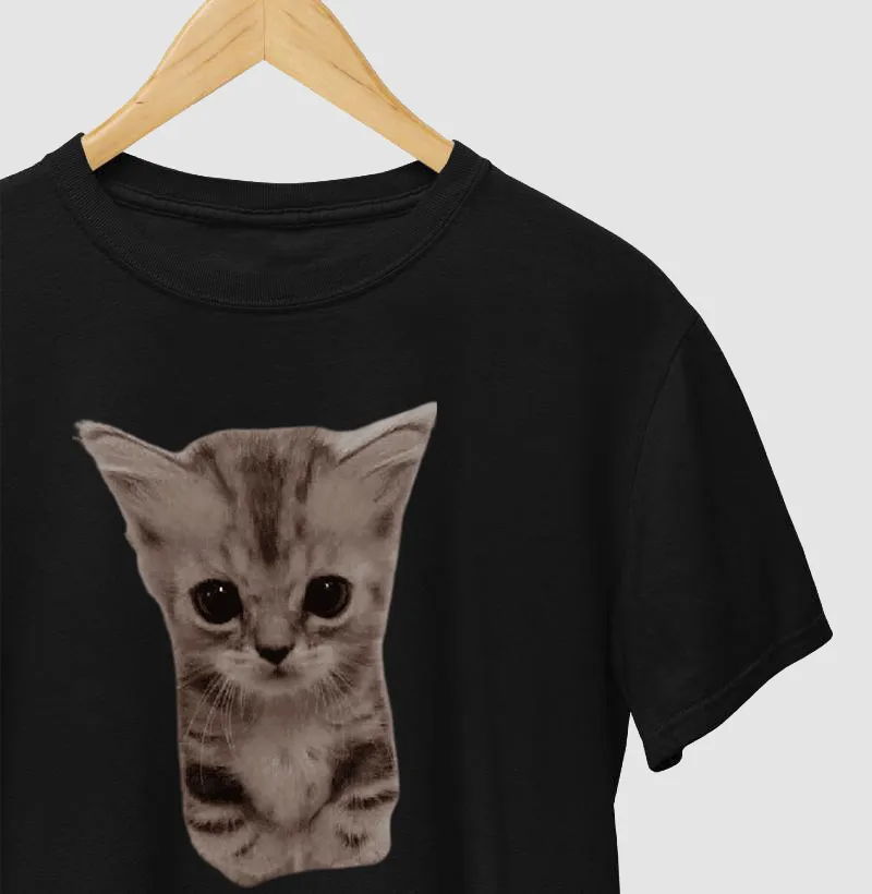 Gray cat