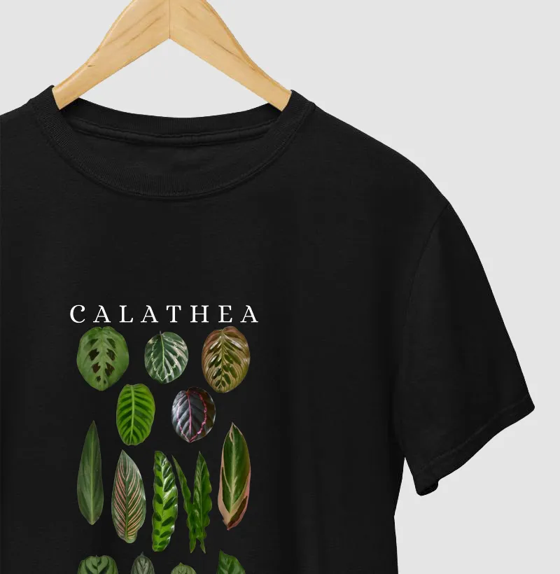 Calatheas