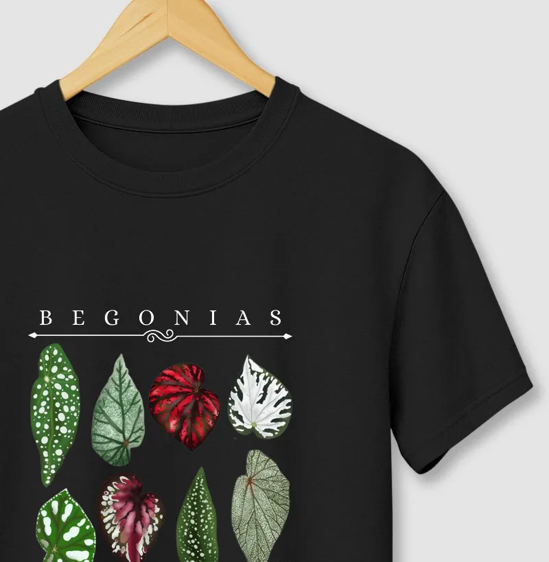 Begonia II