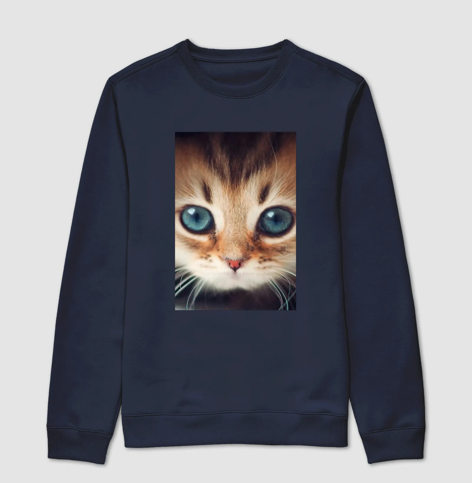 Gatinho - Imagem 5