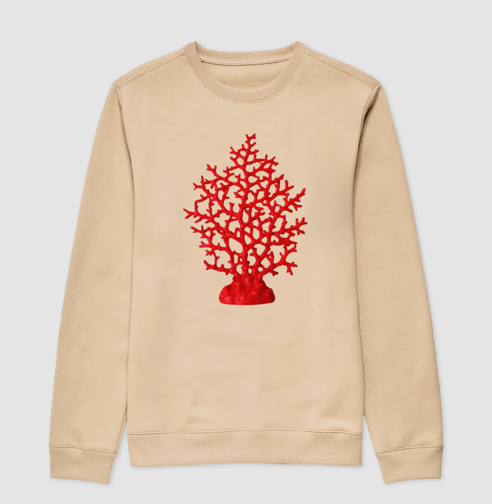 Coral  - Imagem 3