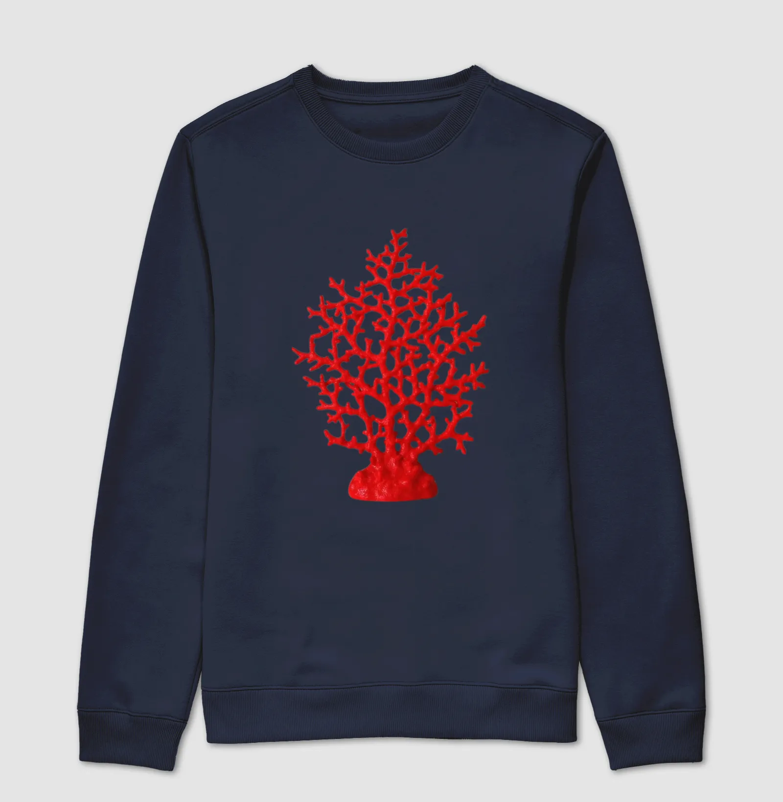 Coral - Imagem 5