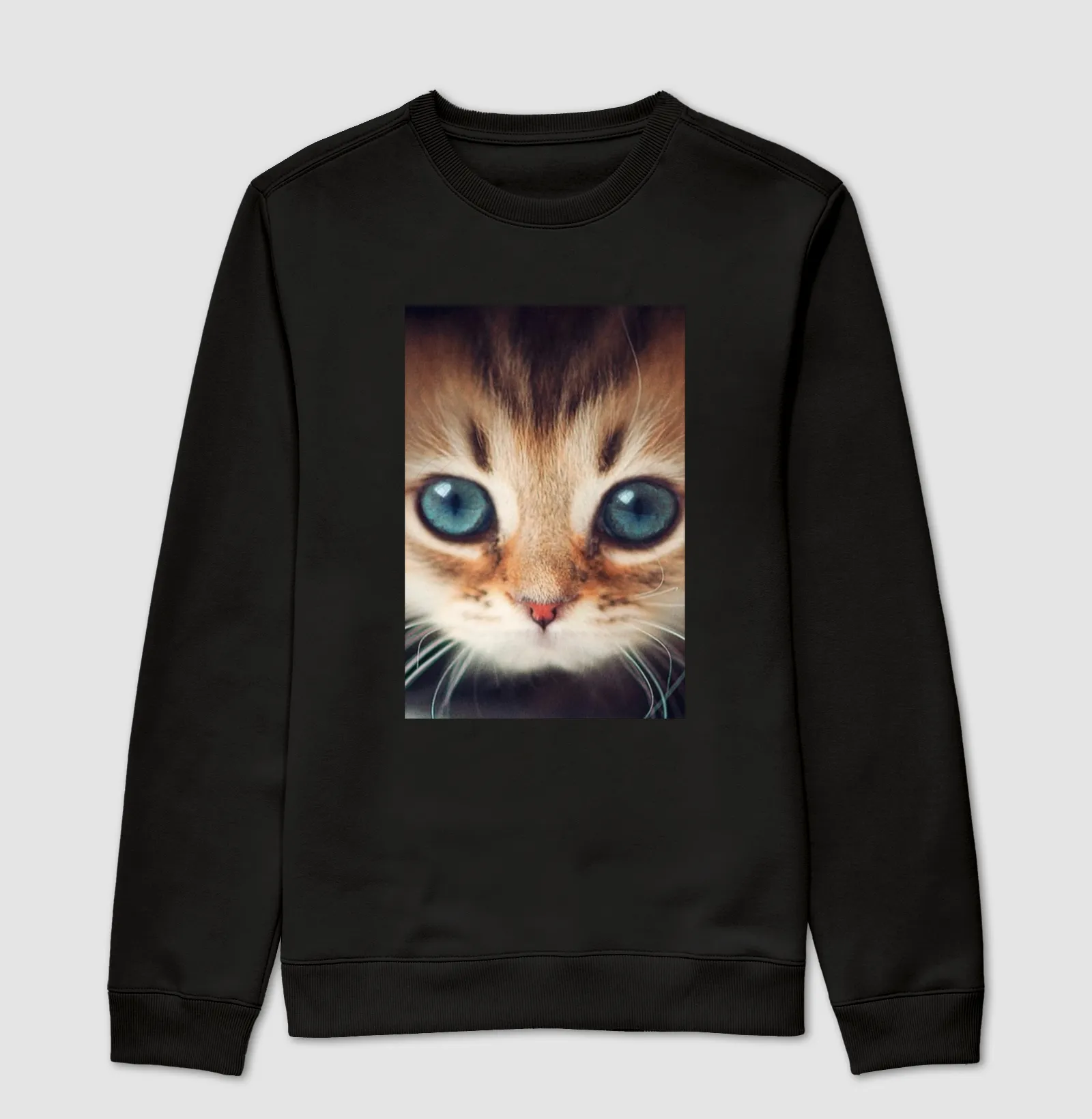 Gatinho - Imagem 4