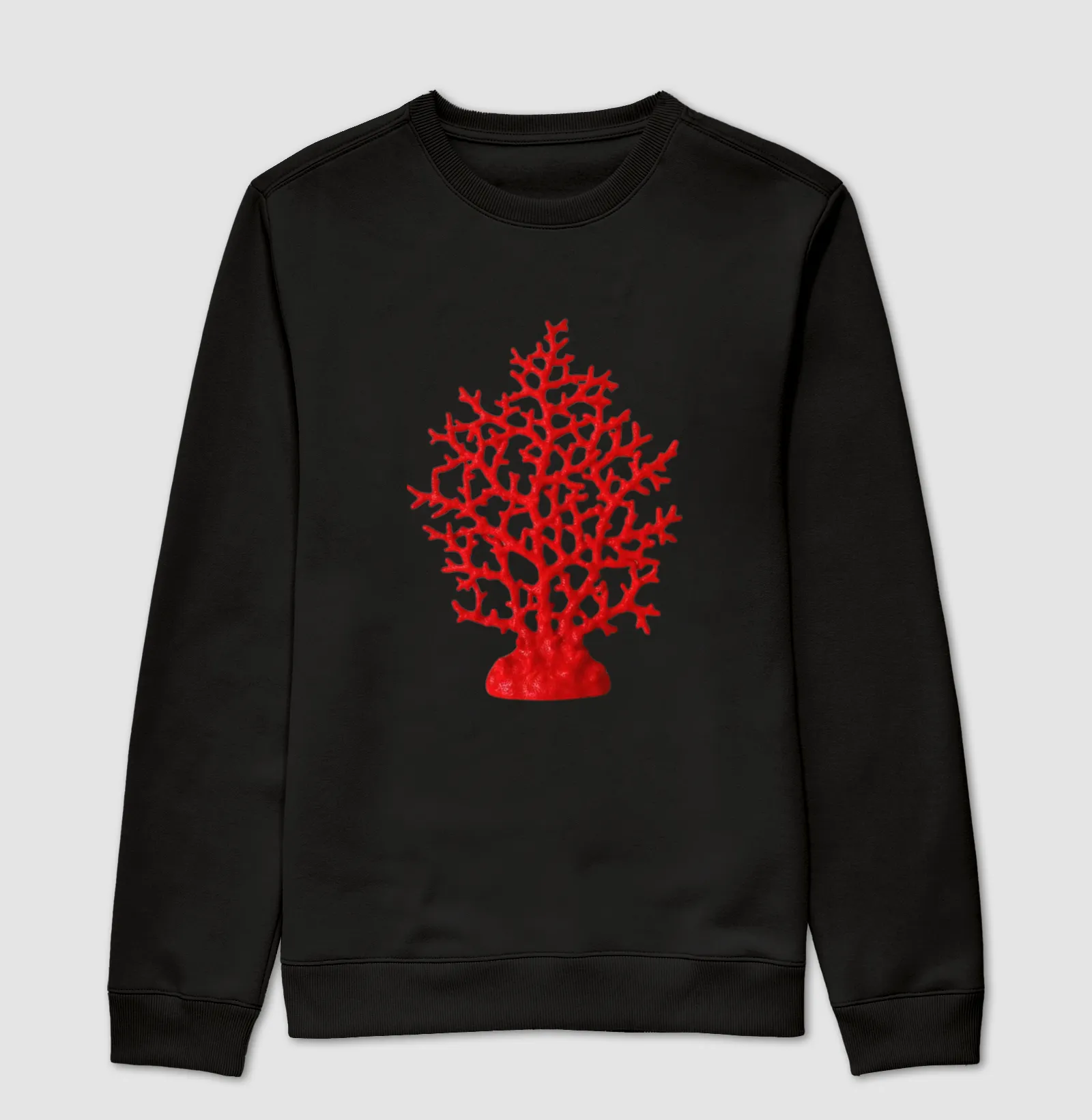 Coral - Imagem 4
