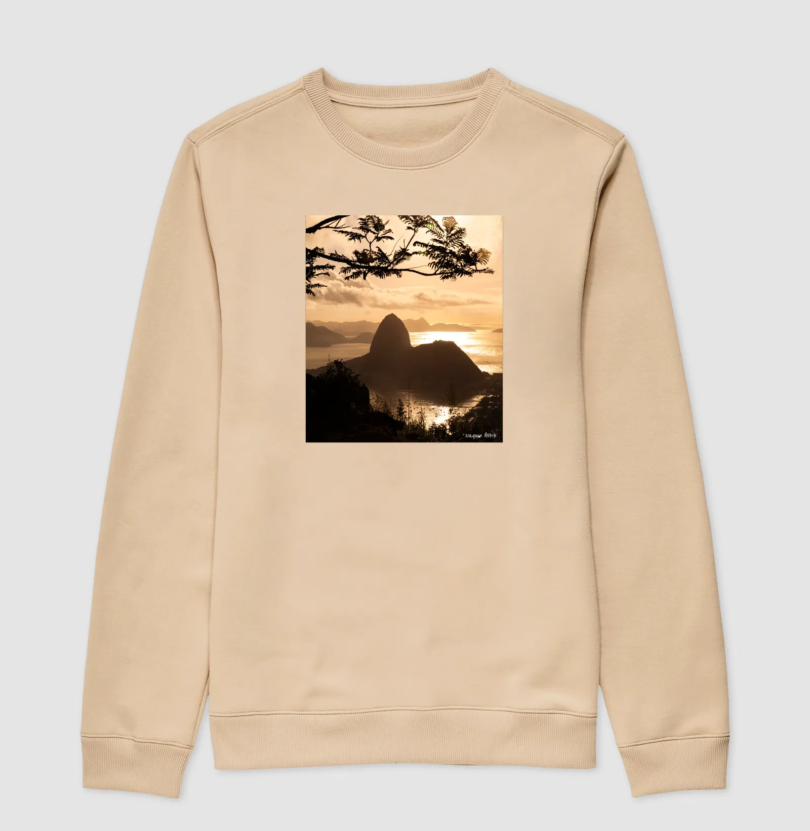 Camisa 2