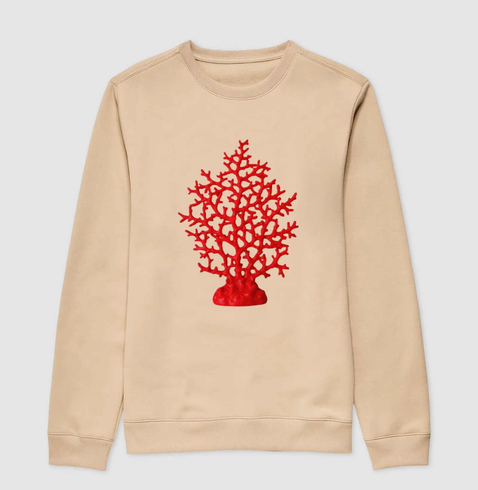 Coral - Imagem 3
