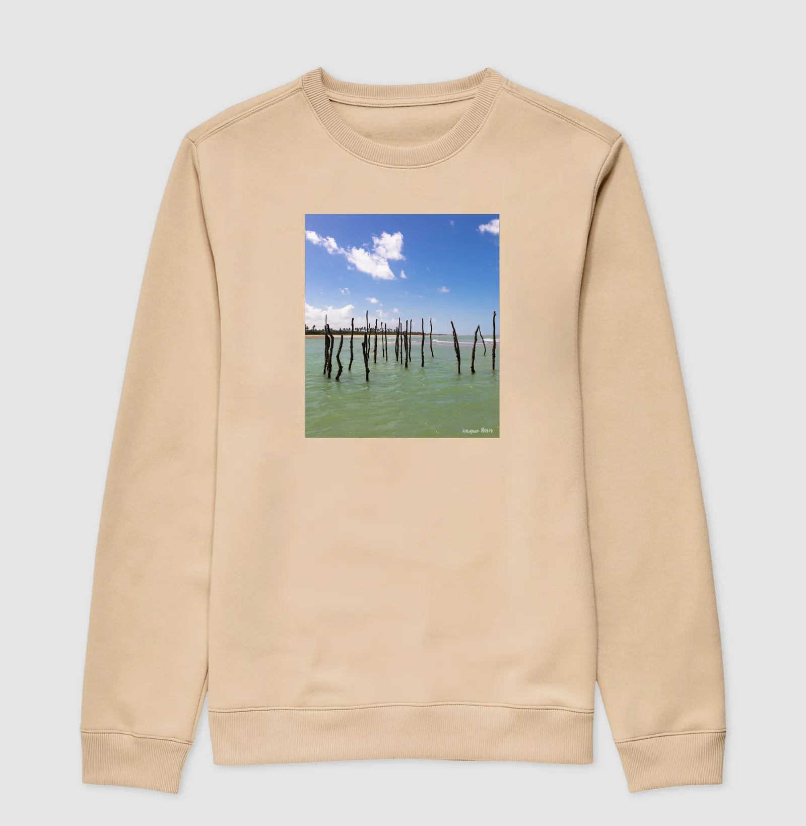 Camisa 2