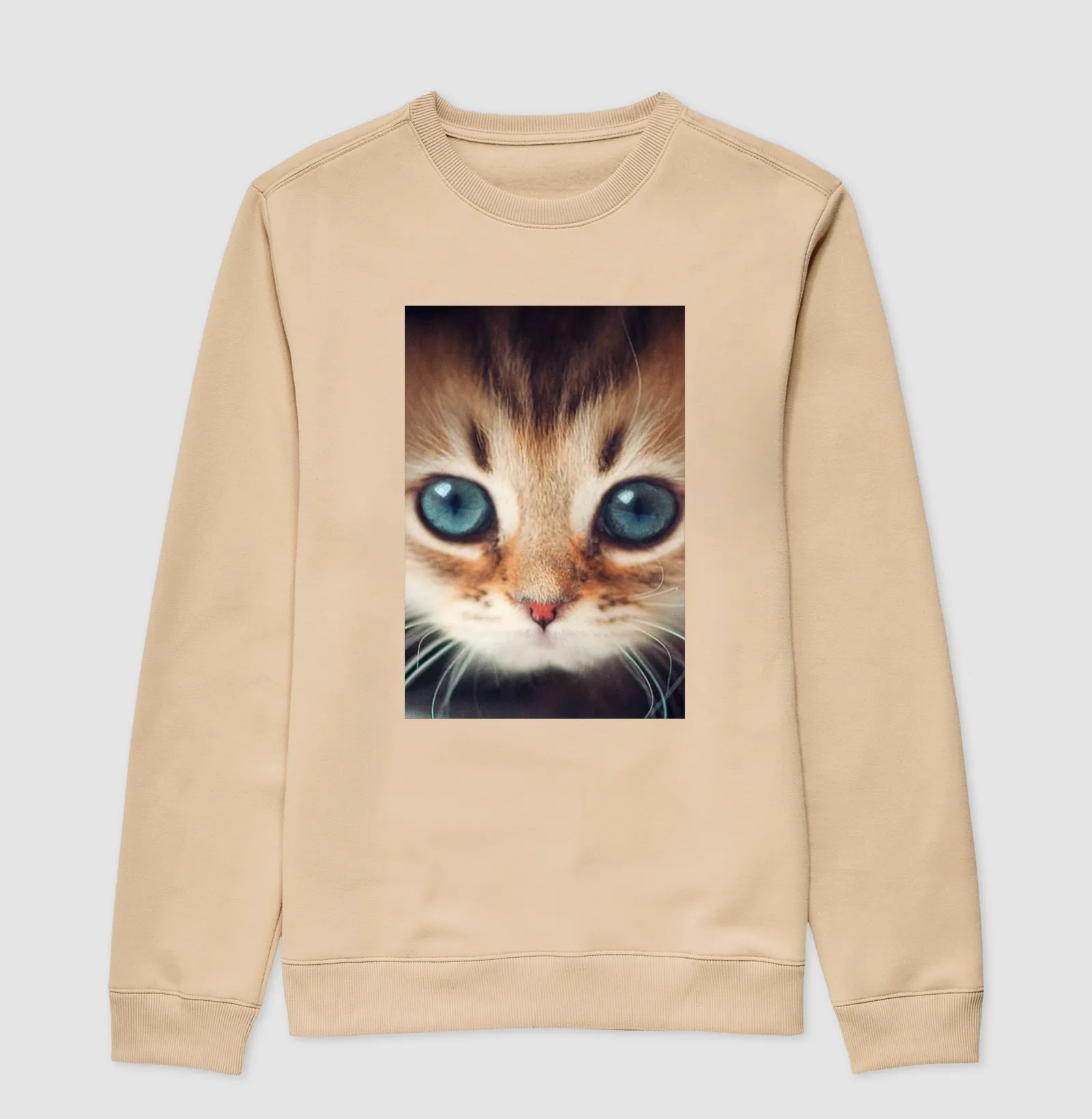 Gatinho - Imagem 3