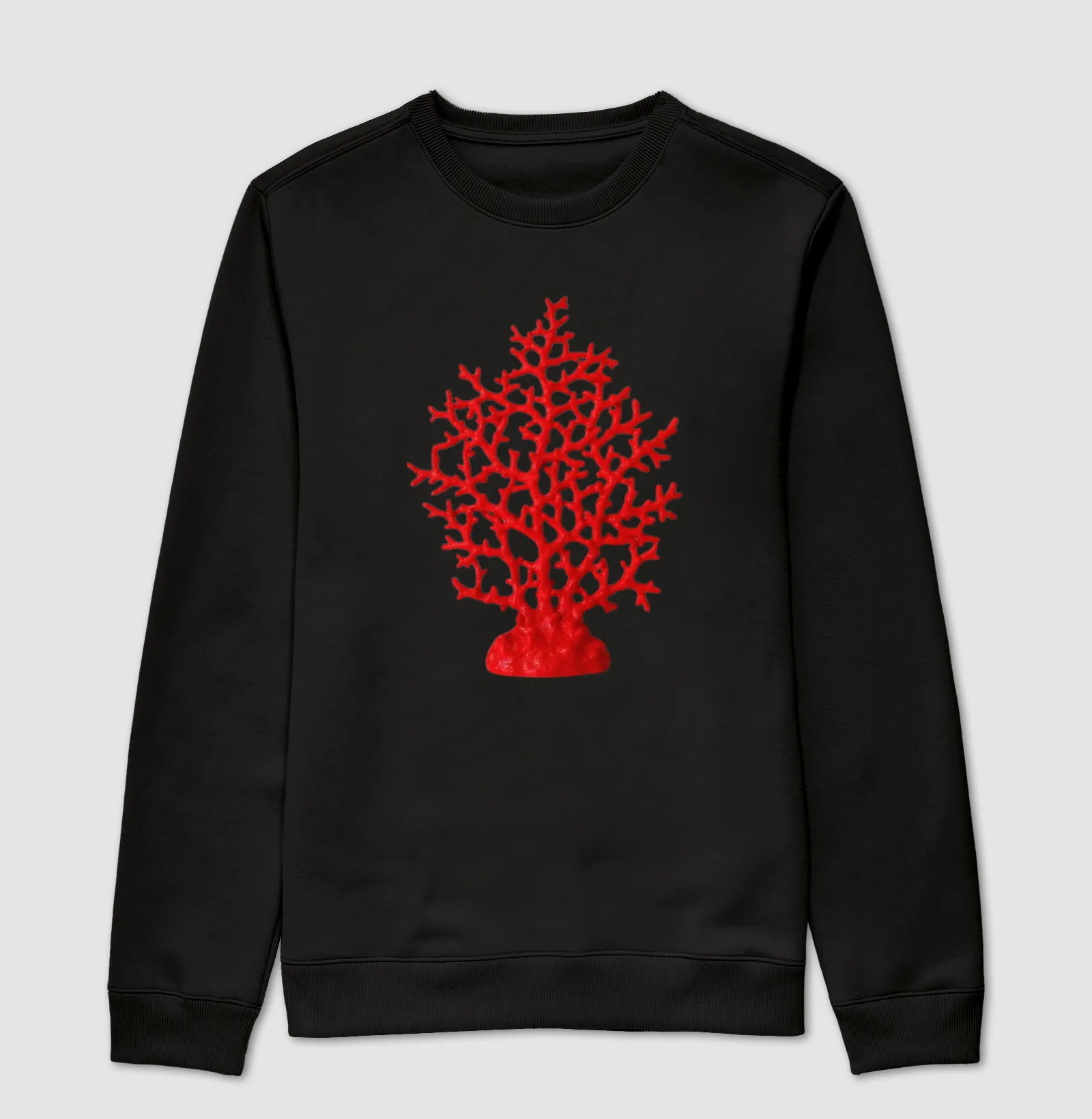 Coral  - Imagem 4