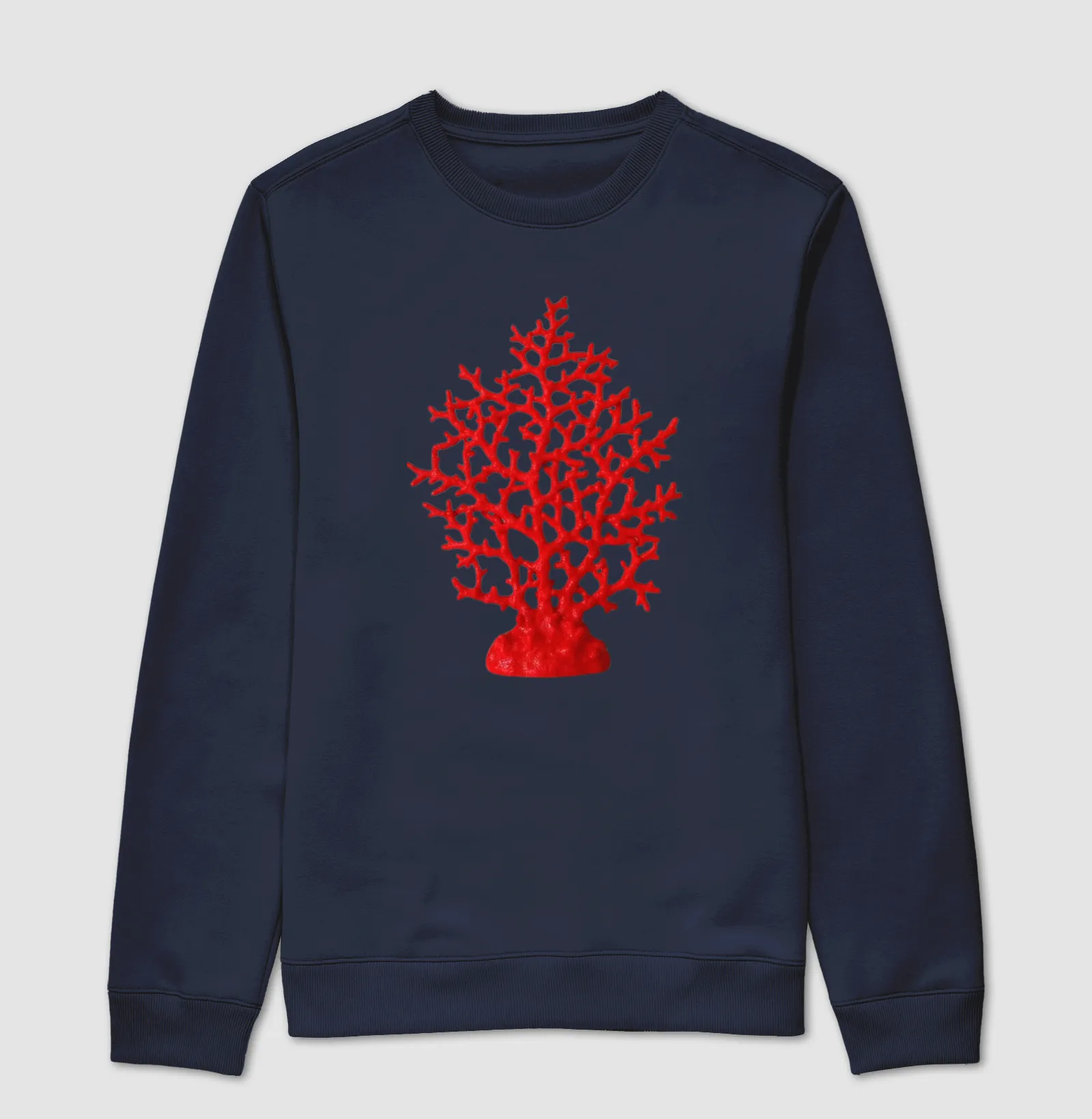 Coral  - Imagem 5
