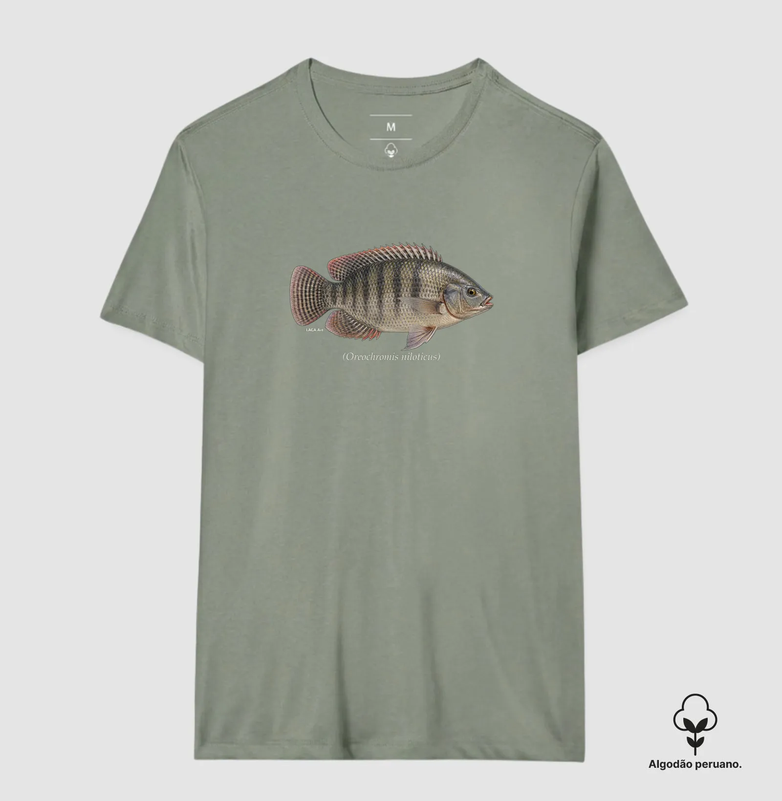 Camisa 8