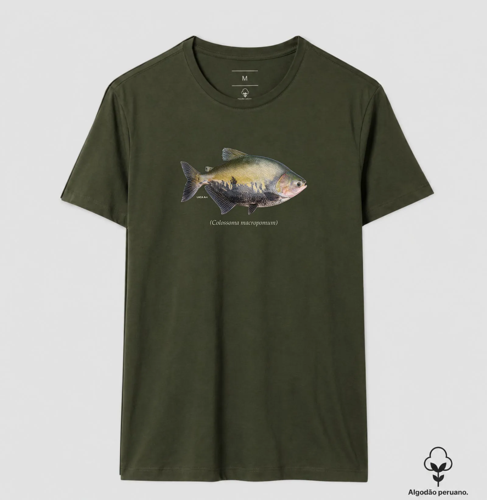 Camisa 8