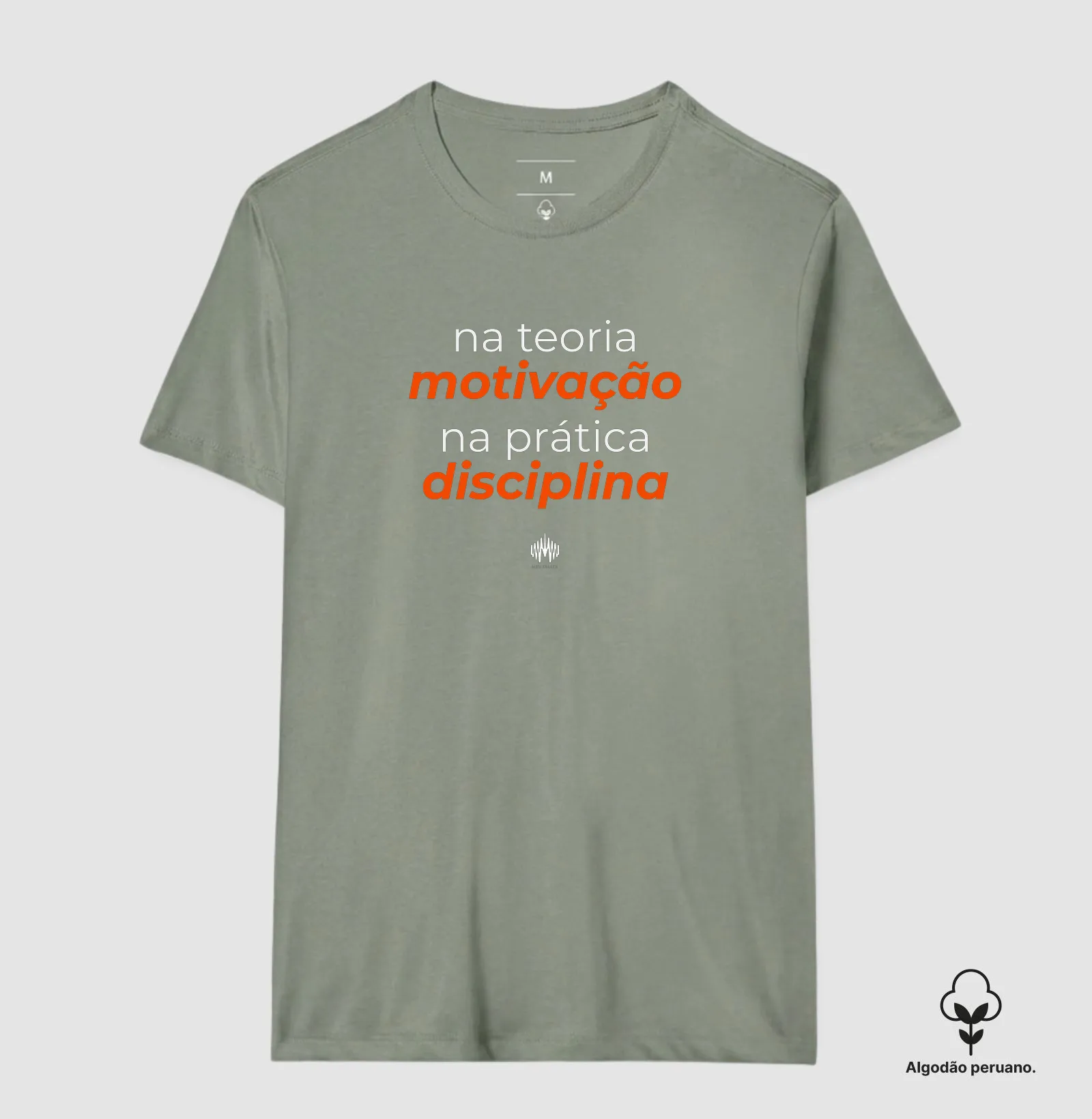 Na teoria, motivação. Na prática, disciplina. - Imagem 5