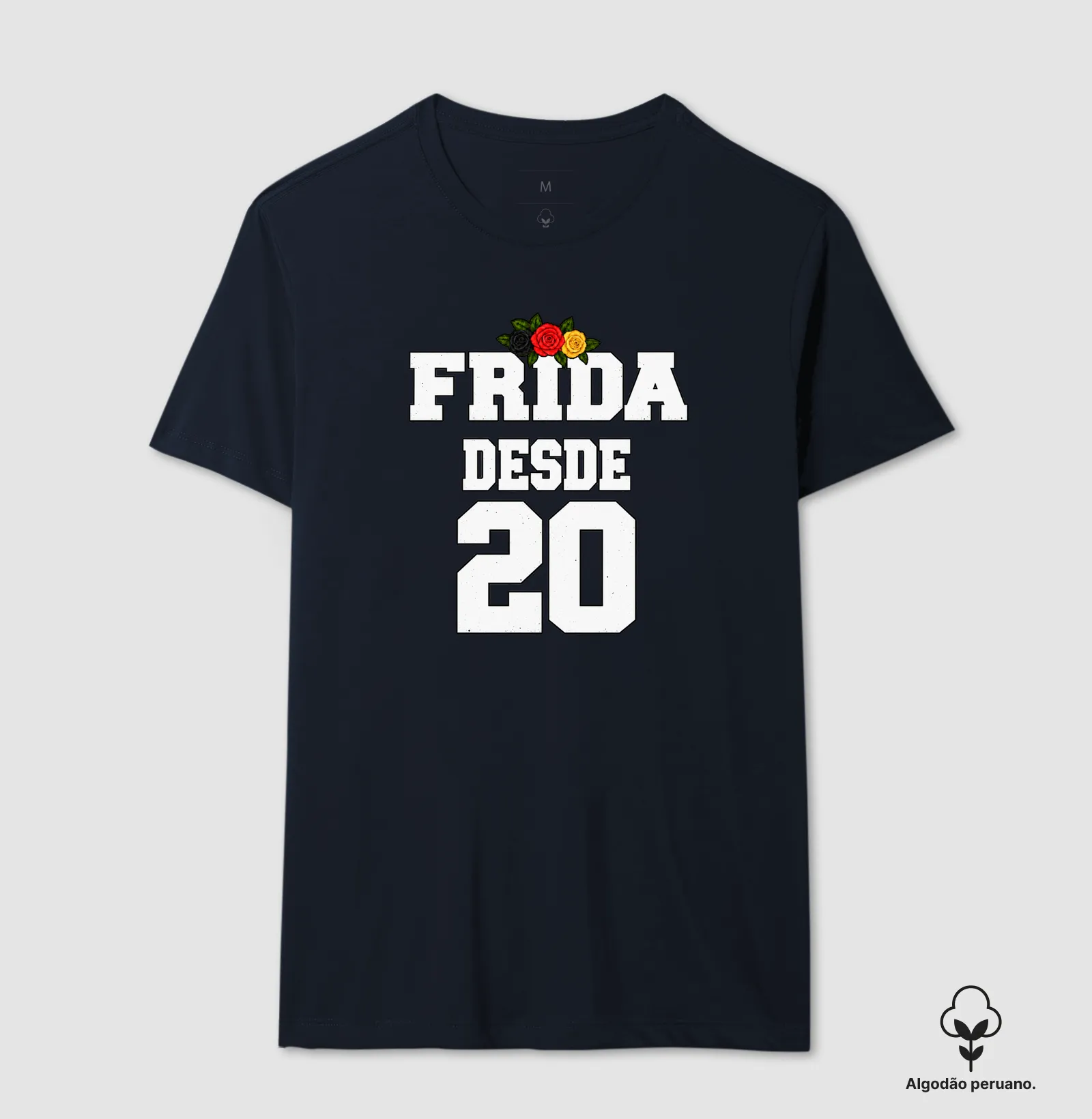 FRIDA - Imagem 2