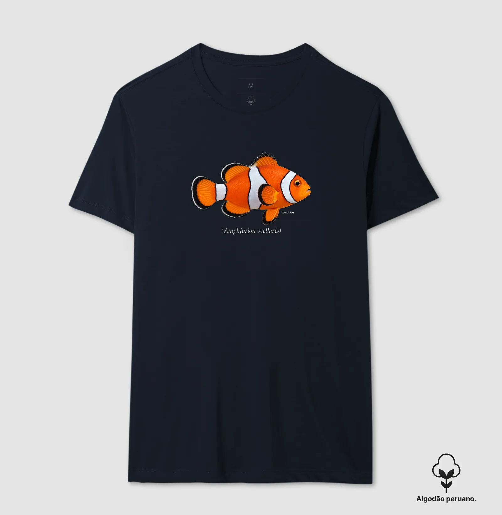 Peixe-Palhaço - Imagem 9