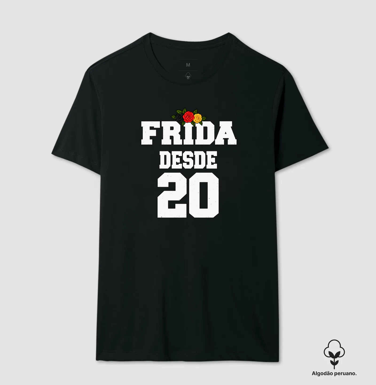 FRIDA - Imagem 4